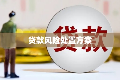 惠安贷款风险处置方案