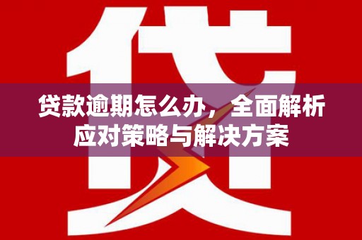 惠安贷款逾期怎么办，全面解析应对策略与解决方案