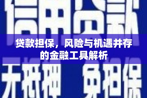 惠安贷款担保，风险与机遇并存的金融工具解析