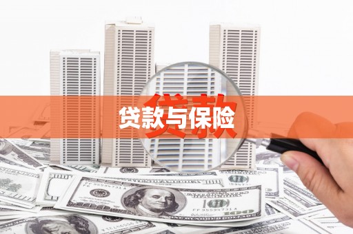 惠安贷款与保险
