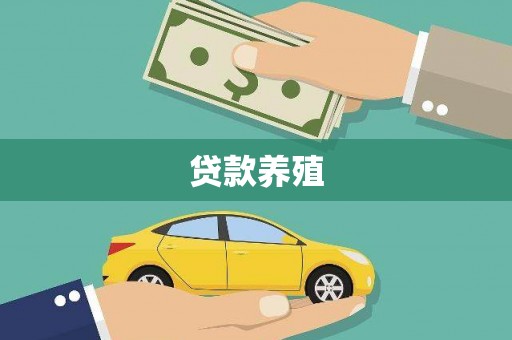惠安贷款养殖