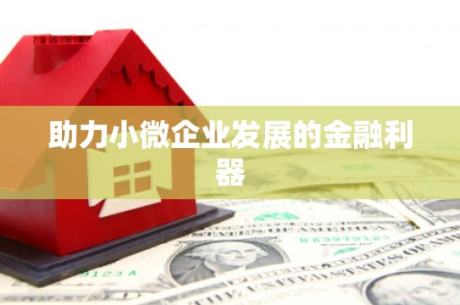 惠安助力小微企业发展的金融利器