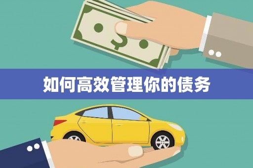 惠安如何高效管理你的债务