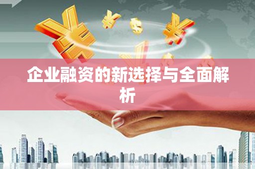 惠安企业融资的新选择与全面解析