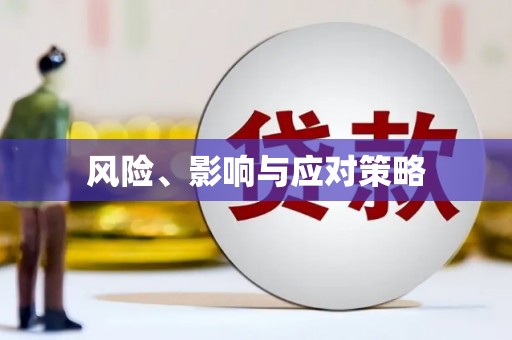 惠安风险、影响与应对策略