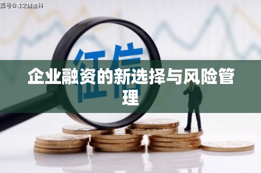 惠安企业融资的新选择与风险管理