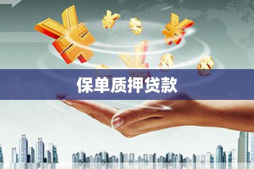 惠安保单质押贷款