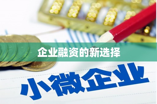 惠安企业融资的新选择