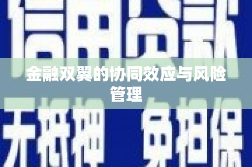 惠安金融双翼的协同效应与风险管理