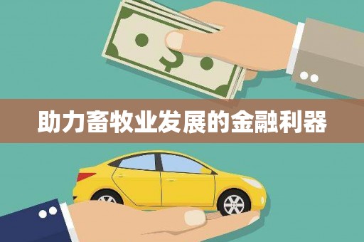 惠安助力畜牧业发展的金融利器