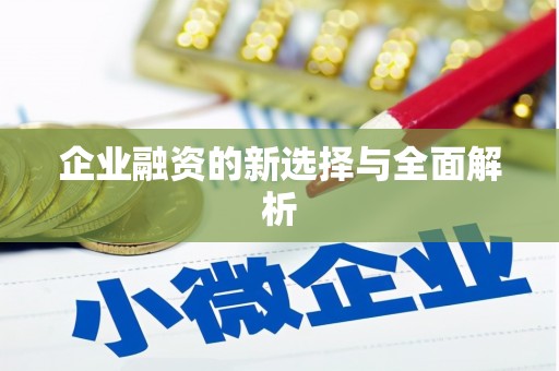 惠安企业融资的新选择与全面解析