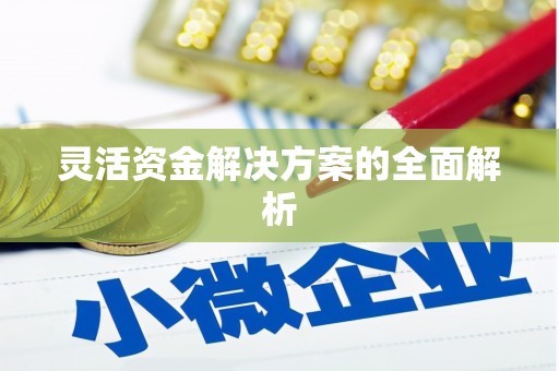 惠安灵活资金解决方案的全面解析