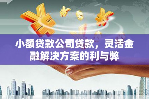 惠安小额贷款公司贷款，灵活金融解决方案的利与弊